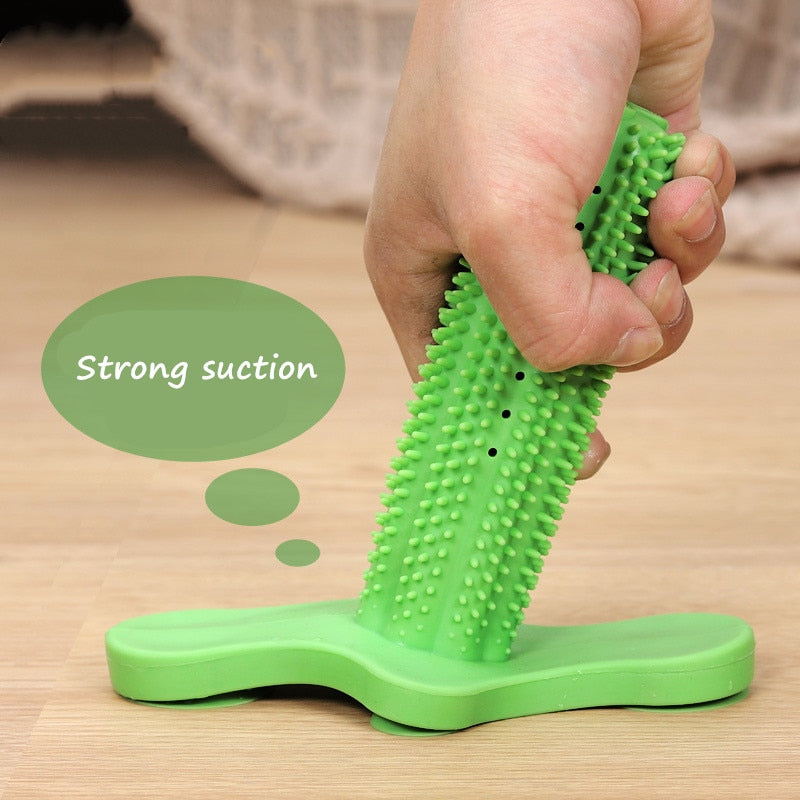 Cactus Teeth Cleaning Dog Toy