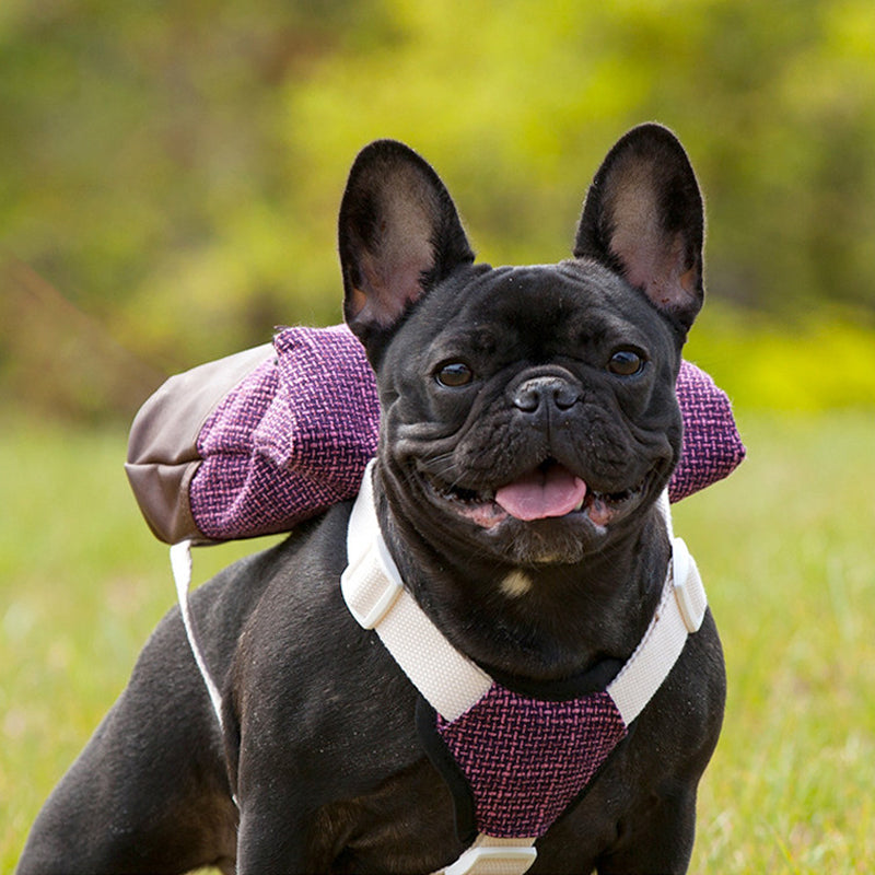 Dog Harness Backpack