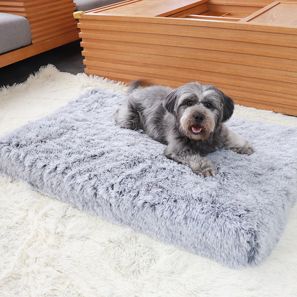 Orthopedic Plush Dog Bed with Removable Fur Cover